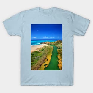 River struggling to reach the sea T-Shirt